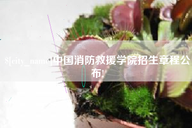 怀化中国消防救援学院招生章程公布!