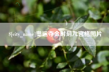 怀化奥运夺金时刻九宫格图片