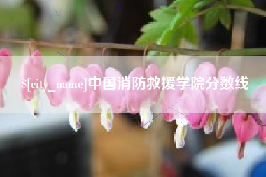 怀化中国消防救援学院分数线