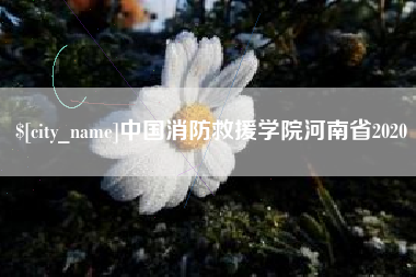 怀化中国消防救援学院河南省2020